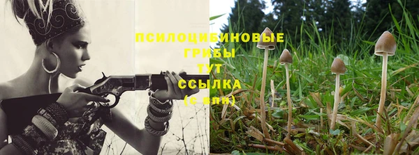 синтетический гашиш Красноперекопск